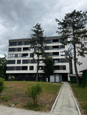 ELITE Park Lake